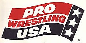 Pro Wrestling USA logo